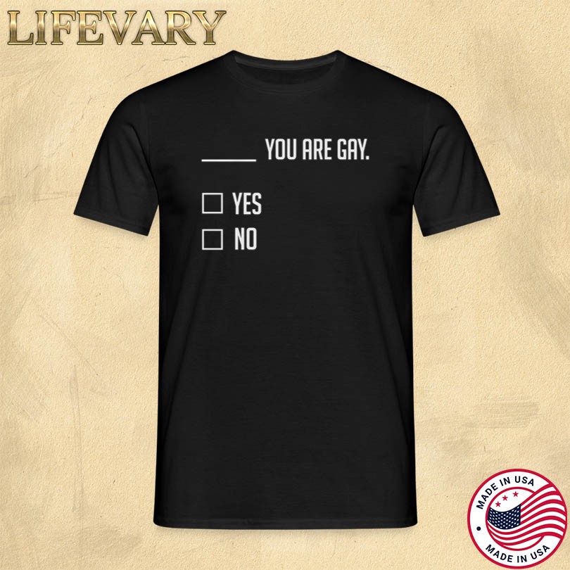 New Summerhays Bros You Are Gay Merch