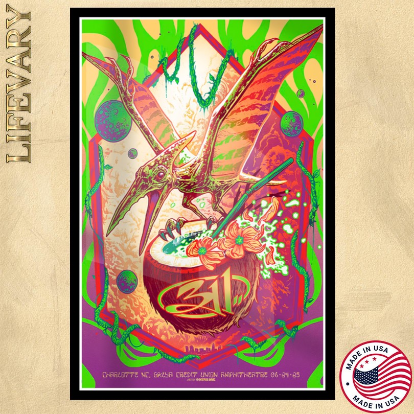 The 311 Concert 2025 Charlotte, NC Poster