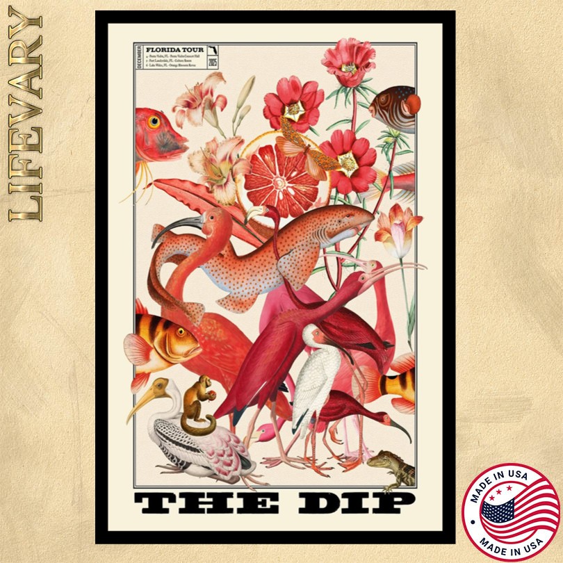 The Dip Florida Tour Poster
