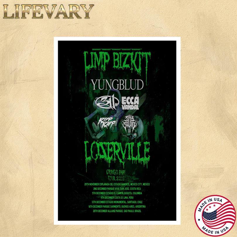 Limp Bizkit And 311 Band Tour Poster 2025